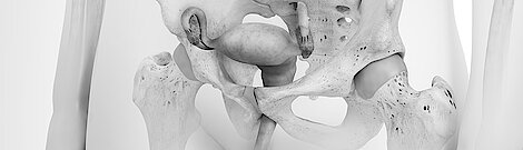 3D illustration related to gynecology, focusing on the lower abdominal and pelvic area.